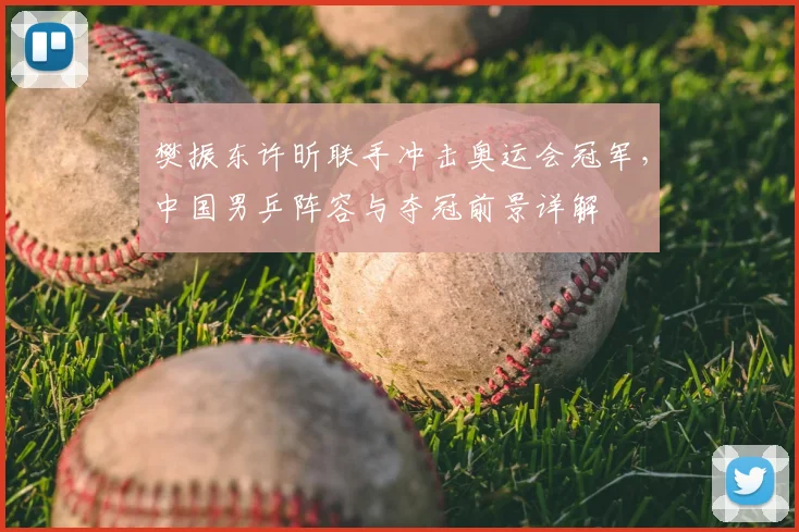 樊振东许昕联手冲击奥运会冠军，中国男乒阵容与夺冠前景详解