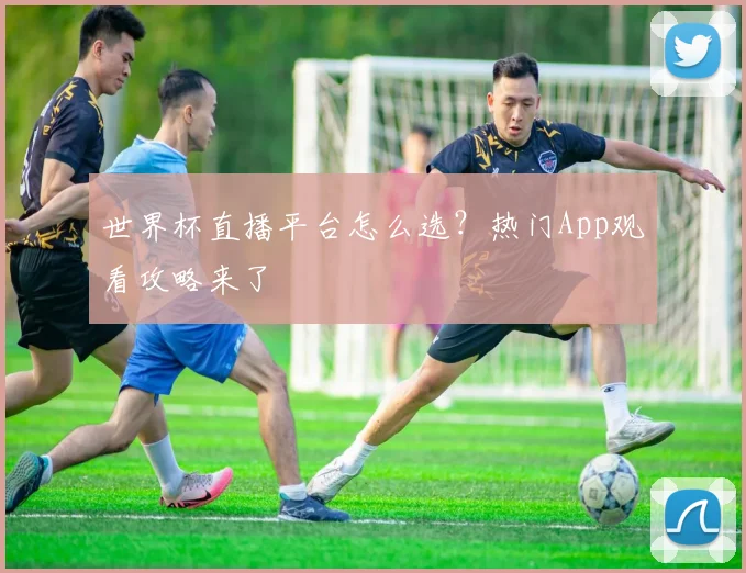 世界杯直播平台怎么选?热门App观看攻略来了